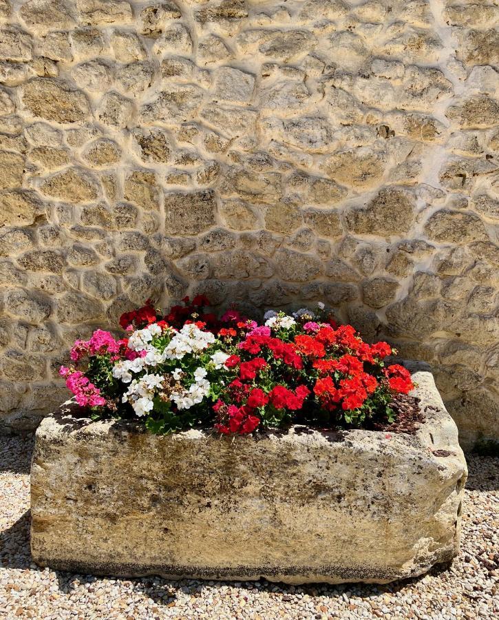 Saint-Magne-de-Castillon La Suite A Chateau Franc Daut מראה חיצוני תמונה