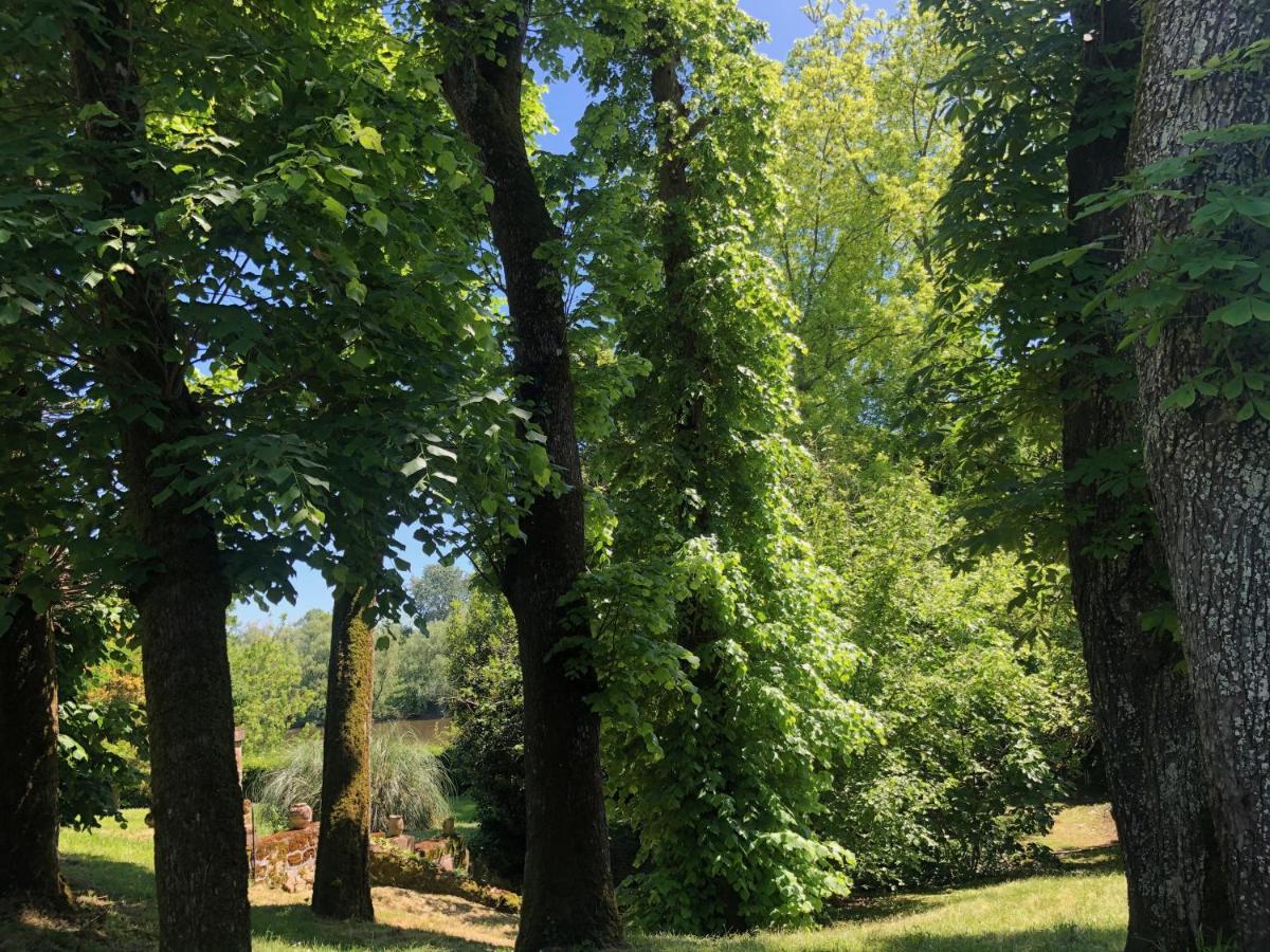 Saint-Magne-de-Castillon La Suite A Chateau Franc Daut מראה חיצוני תמונה