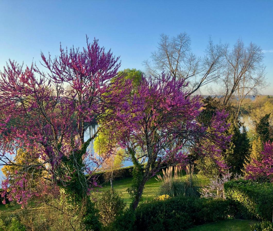 Saint-Magne-de-Castillon La Suite A Chateau Franc Daut מראה חיצוני תמונה